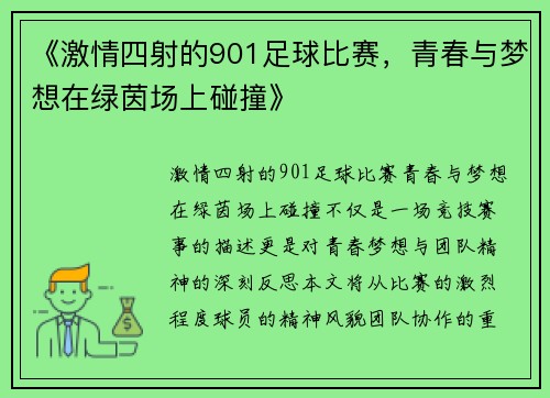 《激情四射的901足球比赛，青春与梦想在绿茵场上碰撞》